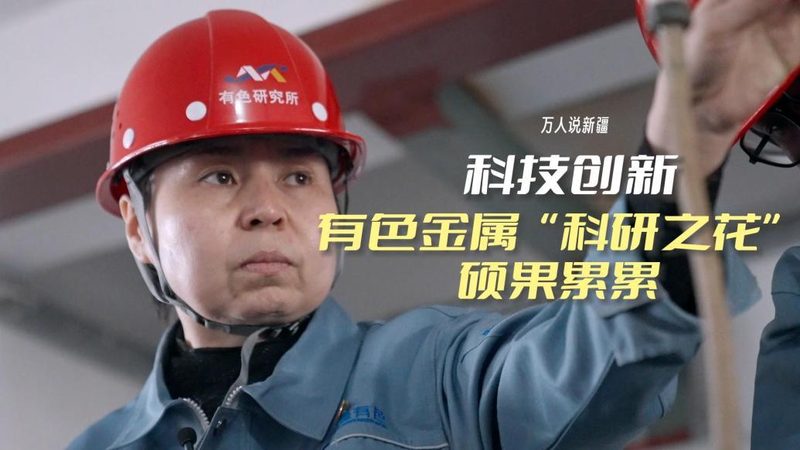 仓储物流信息化建设：流程与关键步骤解析